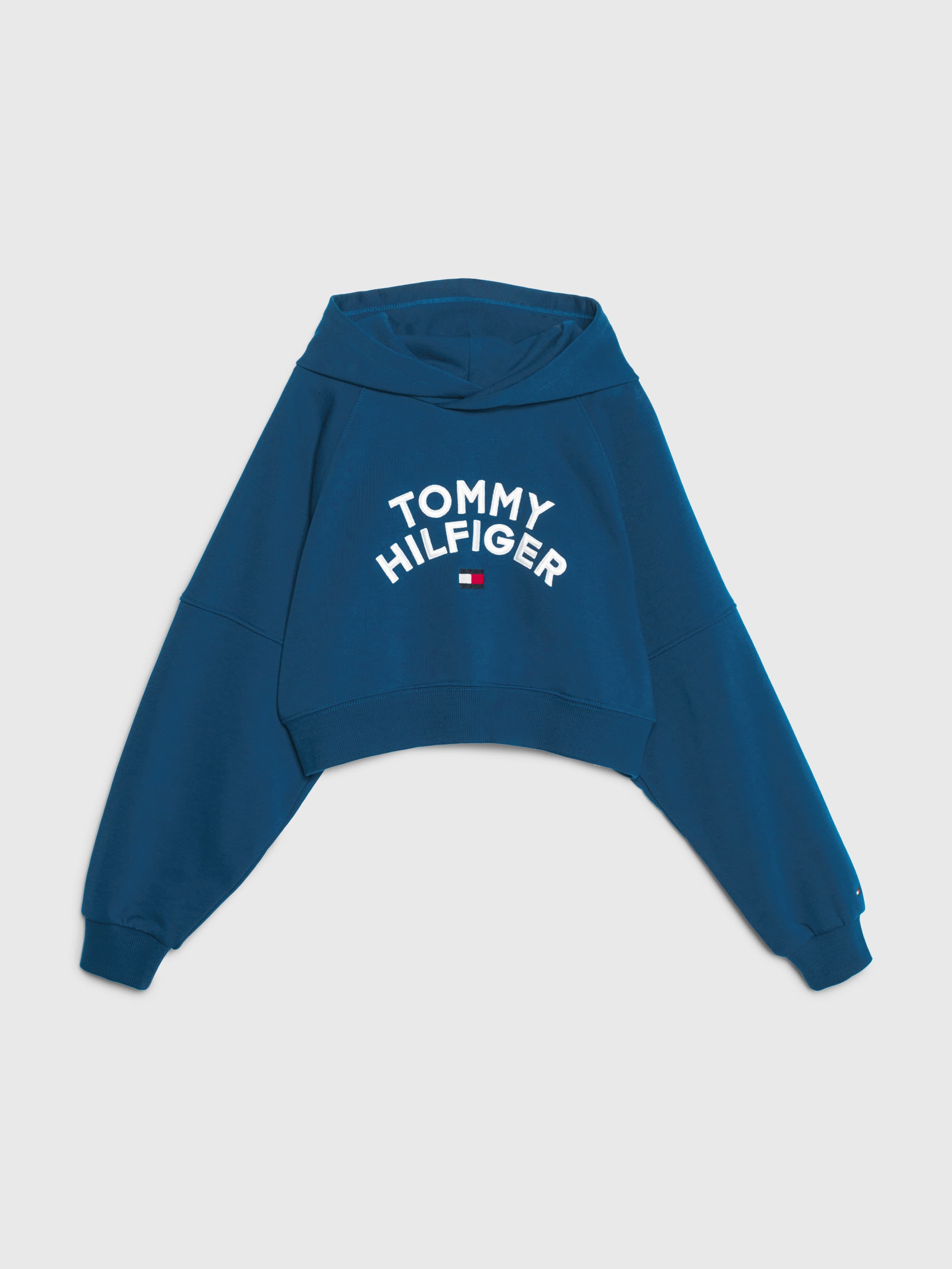 Logo Flag Hoody